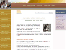 Tablet Screenshot of med-solver.com